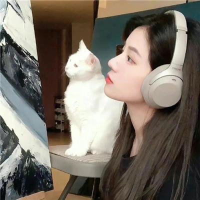 奶油花之恋